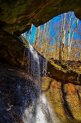 포토 JPG 해외이미지 나무 공원 잎 자연 풍경 사람없음 야외 초록색 물 여름 강 환경 계곡 폭포 가을 개울 급류 숲 암초 전국 해외포토 자연요소 식물 계절 공공시설 컬러 생태계 파일형식 이미지허브