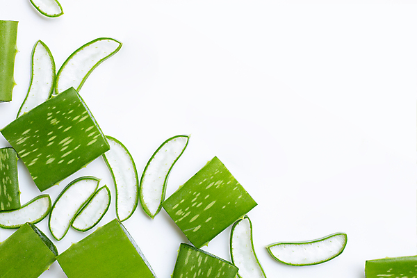 포토 JPG 해외이미지 스튜디오촬영 단면 실내 사람없음 하이앵글 뷰티 흰배경 알로에 해외포토 식물 뷰포인트 백그라운드 내부 흰색 파일형식 이미지허브