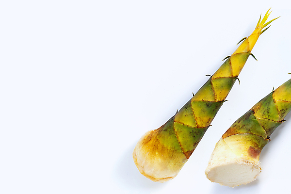 포토 JPG 해외이미지 백그라운드 사람없음 신선 흰배경 유기농 죽순 해외포토 웰빙 흰색 파일형식 이미지허브