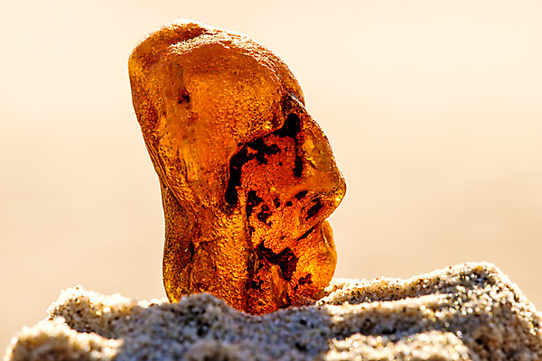 포토 JPG 해외이미지 자연 사람없음 빛 주황색 투명 보석 화석 앰버 해외포토 컬러 광석 생태계 파일형식 이미지허브