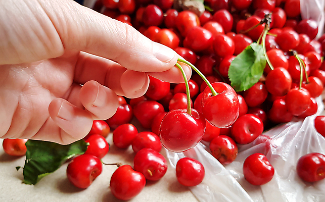 포토 JPG 해외이미지 열매 음식 다이어트 과일 자연 디저트 건강 사람없음 빨간색 수확 흰색 신선 체리 달콤 맛 유기농 내추럴 고립 숙성 해외포토 식물 웰빙 컬러 컨셉 농업 생태계 파일형식 이미지허브