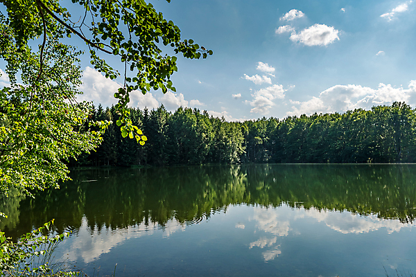 포토 JPG 해외이미지 나무 구름 계절 호수 잎 풍경 사람없음 초록색 물 뷰티 반사 맑음 침묵 봄 거울 시골 황무지 숲 그림 삼림지대 해외포토 자연요소 식물 컬러 날씨 소리 파일형식 이미지허브