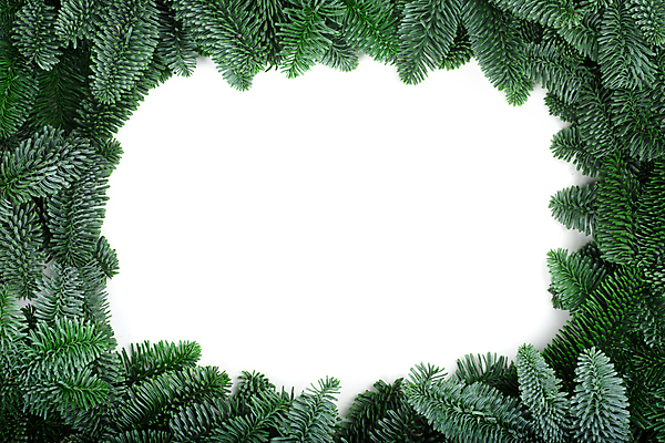 포토 JPG 해외이미지 나무 식물 템플릿 디자인 배너 기념일 백그라운드 크리스마스 겨울 패턴 휴가 새해 프레임 사람없음 초록색 공백 흰색 나뭇가지 축하 소나무 신용카드 클래식 심볼 질감 뼈대 상록수 침엽수 전나무 내추럴 고립 목업 가문비나무 카피스페이스 해외포토 계절 컬러 컨셉 무늬 이벤트 금융 파일형식 이미지허브