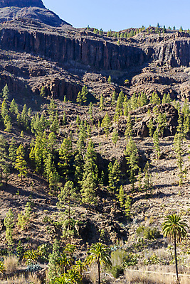 포토 JPG 해외이미지 나무 공원 유럽 섬 여행 아프리카 자연 하늘 산 풍경 사람없음 야외 목재 물 여름 햇빛 환경 골짜기 계곡 바위 스페인 부식 전국 지질학 해외포토 자연요소 식물 계절 공공시설 교육 나라 재료 태양 돌_바위 생태계 파일형식 이미지허브