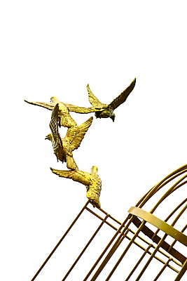 포토 JPG 해외이미지 구름 손 조각 백그라운드 날개 벽지 조류 하늘 새로움 이야기 사람없음 여름 파란색 세트 조각상 평화 맑음 봄 자유 메시지 배달원 심볼 비둘기 신화 청동 천국 무료 해외포토 자연요소 동물 직업 계절 컬러 컨셉 날씨 신체부위 조형물 파일형식 이미지허브