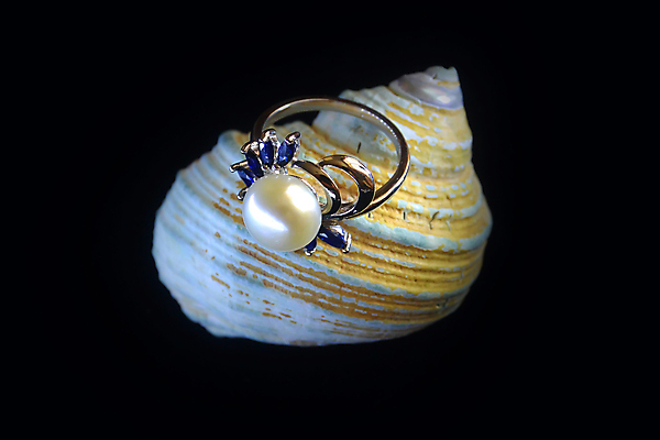 포토 JPG 해외이미지 디자인 결혼 백그라운드 목걸이 팔찌 선물 사람없음 빛 유행 귀걸이 반지 화려 황금 고급 은색 크리스탈 보석 수집 에메랄드 다이아몬드 보물 내추럴 고립 루비 사파이어 전용 핸드메이드 해외포토 컬러 컨셉 장신구 이벤트 광석 파일형식 이미지허브