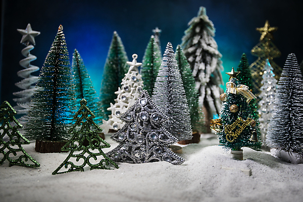 포토 JPG 해외이미지 나무 디자인 계절 별 백그라운드 크리스마스 겨울 눈사람 추상 휴가 전등 새로움 주택 선물 미술 사람없음 장식 초록색 빛 컬러풀 장난감 산타클로스 축제 화환 어둠 축하 인사 도시 소나무 신용카드 황금 야간 저녁 연도 보케 전나무 클라우스 해외포토 자연요소 식물 기념일 꽃 컬러 컨셉 무늬 문화예술 조명 건물 금융 예절 파일형식 이미지허브