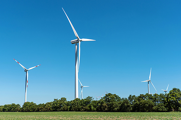 포토 JPG 해외이미지 식물 산업 밭 농업 자연 하늘 바람 독일 풍경 사람없음 초록색 파란색 농장 환경 힘 재활용 발전기 발전소 에너지 칼날 그린에너지 풍력에너지 프로펠러 엔진 자원 세대 유지 혁명 개발 생태학 해외포토 자연요소 교육 유럽 컬러 컨셉 날씨 친환경 생태계 파일형식 이미지허브