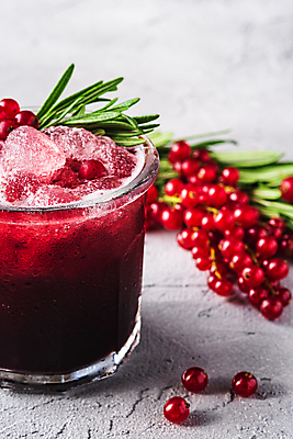 포토 JPG 해외이미지 백그라운드 사람없음 칵테일 시멘트 로즈메리 레드커런트 해외포토 열매 주류 허브 파일형식 이미지허브