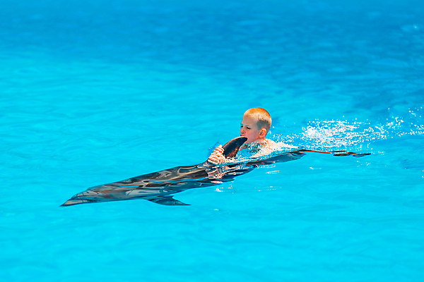 포토 JPG 해외이미지 동물 백인 행복 야생동물 어린이 바다 장난 통신 포유류 포옹 자연 놀이 휴가 휴식 함께함 건강 어류 한명 사람 소년 치료 물 파란색 수영 기쁨 터치 고래 돌고래 다이빙 꼬리 테라피 해외포토 자연요소 서양인 1 남자 감정 컬러 컨셉 의학 안기 뷰티 수중동물 수상스포츠 생태계 수중스포츠 파일형식 이미지허브