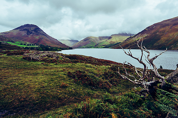 포토 JPG 해외이미지 나무 구름 유럽 호수 여행 가족 자연 하늘 휴가 휴식 영국 잉글랜드 산 풍경 사람없음 야외 초록색 물 강 운동 평화 걷기 하이킹 시골 보트 언덕 사인 카누 카약 흐림 내추럴 해외포토 자연요소 식물 나라 컬러 컨셉 배_교통 관계 모션 레저 날씨 건강 수상스포츠 생태계 파일형식 이미지허브