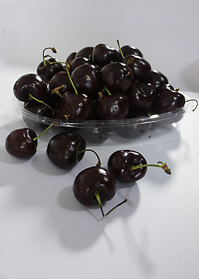 포토 JPG 해외이미지 음식 채소 과일 사람없음 망고 국산 해외포토 열대과일 파일형식 이미지허브