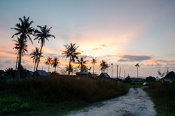포토 JPG 해외이미지 나무 구름 아시아 섬 여행 백그라운드 농업 자연 하늘 휴가 동양인 풍경 사람없음 야외 초록색 농장 마을 시골 코코넛 말레이시아 파라다이스 해외포토 자연요소 식물 나라 산업 컬러 과일 인종 생태계 파일형식 이미지허브