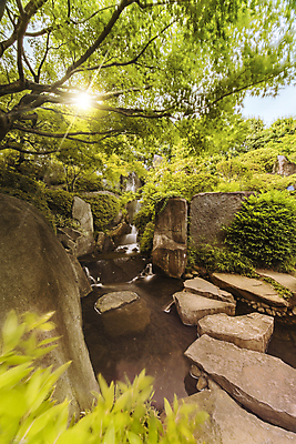 포토 JPG 해외이미지 나무 식물 구름 계절 공원 꽃잎 선 줄기 분홍색 백그라운드 단풍 잎 자연 하늘 이끼 사람없음 야외 세로 파란색 컬러풀 태양 뷰티 노란색 정원 일본 봄 폭포 흰색 나뭇가지 연못 신선 화려 도쿄 그림 붓꽃 내추럴 창백 방법 해외포토 자연요소 공공시설 꽃 아시아 컬러 컨셉 생태계 파일형식 이미지허브