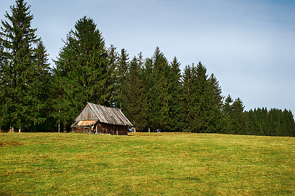 포토 JPG 해외이미지 나무 구름 1 여행 밭 건축양식 자연 하늘 지붕 산 주택 풍경 사람없음 야외 건물 목재 초록색 여름 파란색 농장 갈색 평화 계곡 침묵 흐름 안개 가을 시골 소나무 개울 소 고독 숲 작음 오두막 버리기 시골집 옛날 판잣집 해외포토 자연요소 식물 건축물 계절 건축 감정 컬러 컨셉 농업 재료 포유류 모션 날씨 강 소리 크기 생태계 파일형식 이미지허브