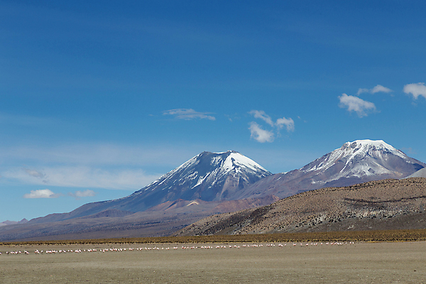 포토 JPG 해외이미지 동물 공원 여행 자연 산 풍경 사람없음 여행객 미국 사막 플라밍고 화산 칠레 남쪽 석호 내추럴 산악지대 볼리비아 전국 절정 해외포토 공공시설 북아메리카 조류 아메리카 사람 남아메리카 방향 생태계 파일형식 이미지허브