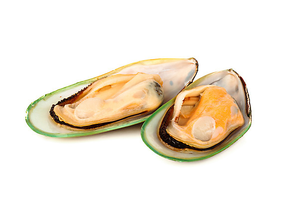 포토 JPG 해외이미지 전통 접시 디자인 음식 바다 백그라운드 2 오렌지 조개 새로움 연체동물 건강 요리 사람없음 초록색 세트 쌓기 식사 저녁식사 껍질 흰색 신선 오픈 그룹 자르기 해산물 날것 뉴질랜드 홍합 내추럴 점심식사 고립 많음 해외포토 식기 컬러 컨셉 과일 모션 어패류 무척추동물 오세아니아 파일형식 이미지허브