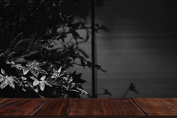 포토 JPG 해외이미지 식물 꽃 벽 꽃다발 잎 추상 그림자 사람없음 인공 해외포토 무늬 파일형식 이미지허브