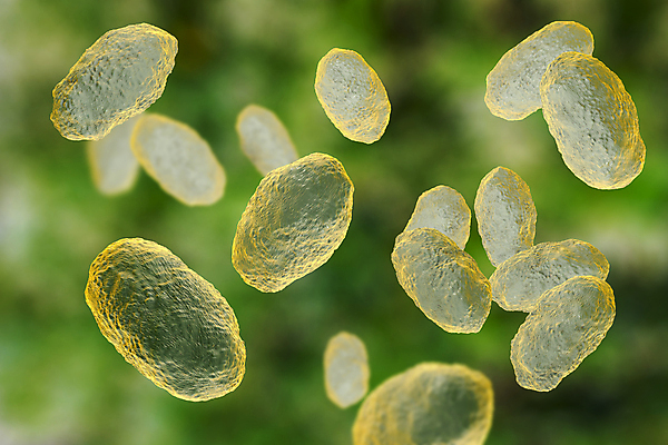 포토 JPG 해외이미지 어린이 과학 일러스트 건강 사람없음 약 3D 고통 호흡기관 질병 감염 전염 미생물 박테리아 백신 해외일러스트 감정 의학 생물 사람 장기_의학 디지털합성 파일형식 이미지허브