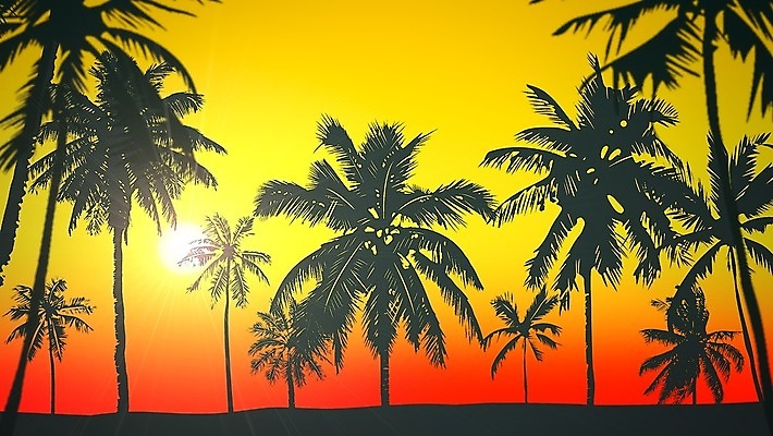 포토 JPG 해외이미지 실루엣 백그라운드 풍경 사람없음 그래픽 야자수 디지털 복고 해외포토 나무 촬영기법 파일형식 이미지허브