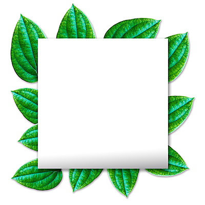 포토 JPG 해외이미지 식물 디자인 계절 길 클리핑패스 꽃다발 결혼 백그라운드 단풍 잎 꽃무늬 패턴 일러스트 자연 추상 휴가 수채화 프레임 사람없음 장식 초록색 정원 화환 공백 가을 축하 인사 원형 신용카드 우아함 숲 수집 허브 엽서 초대 내추럴 고립 그리너리 해외일러스트 도형 꽃 컬러 컨셉 무늬 이벤트 금융 예절 편지 생태계 파일형식 트랜드컬러 이미지허브