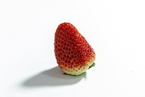 포토 JPG 해외이미지 음식 채소 과일 사람없음 망고 국산 해외포토 열대과일 파일형식 이미지허브