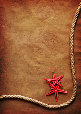 포토 JPG 해외이미지 종이 밧줄 백그라운드 불가사리 사람없음 갈색 질감 카피스페이스 해외포토 줄 컬러 극피동물 공백 파일형식 이미지허브