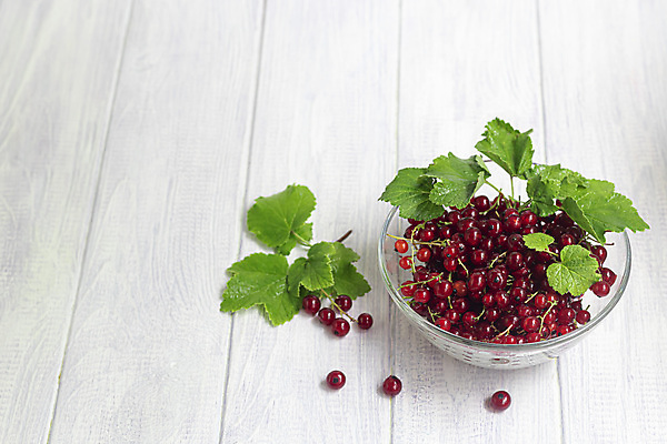 포토 JPG 해외이미지 나무 식물 그릇 계절 열매 음료 음식 줄기 백그라운드 잎 과일 자연 건강 요리 사람없음 빨간색 주스 추위 수확 나뭇가지 신선 맛 숲 잼 설탕 자르기 다발 굽기 수집 유기농 시골집 젤리 이익 내추럴 건포도 해외포토 식기 웰빙 컬러 컨셉 농업 모션 포도 디저트 주택 소스_음식 구이 생태계 건과일 파일형식 이미지허브