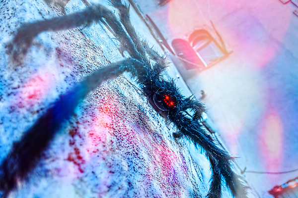 포토 JPG 해외이미지 디자인 곤충 백그라운드 일러스트 사람없음 장식 빨간색 파란색 검은색 웹 어둠 할로윈 흰색 실 닫기 야간 위험 거미줄 심볼 거미 내추럴 고립 해외일러스트 자연요소 동물 컬러 컨셉 인터넷 모션 파일형식 이미지허브