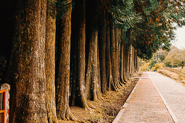 포토 JPG 해외이미지 길 자국 요정 따뜻함 이야기 풍경 사람없음 빛 컬러풀 태양 평화 일출 새벽 활발 꿈 광선 시간 황금 주식 땅 순환 마법 방법 웅장함 선두 해외포토 자연요소 컬러 컨셉 모션 금융 노을 파일형식 이미지허브