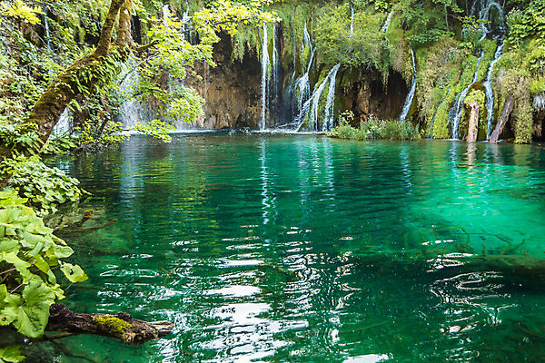 포토 JPG 해외이미지 나무 식물 공원 유럽 호수 여행 백그라운드 자연 산 풍경 사람없음 야외 초록색 물 여름 파란색 강 뷰티 여행객 봄 폭포 가을 연못 개울 숲 크로아티아 내추럴 생태학 전국 해외포토 자연요소 계절 공공시설 교육 나라 컬러 사람 생태계 파일형식 이미지허브