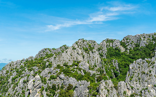 포토 JPG 해외이미지 나무 계절 여행 컨셉 태국 하늘 휴가 휴식 따뜻함 풍경 사람없음 여름 햇빛 맑음 바위 뜨거움 해외포토 식물 아시아 날씨 태양 돌_바위 파일형식 이미지허브