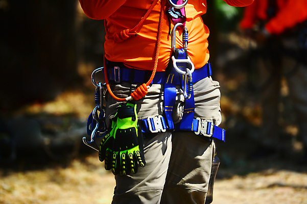 포토 JPG 해외이미지 공원 어린이 밧줄 스포츠 포즈 배낭 자연 산 건강 안전 사람 소년 사람없음 야외 여름 운동 여행객 걷기 자전거 하이킹 장비 가을 긴급 업무 도움 구출 숲 위험 사건 오르기 응답 해외포토 계절 공공시설 남자 줄 컨셉 가방 모션 레저 바이크 작업 생태계 파일형식 이미지허브