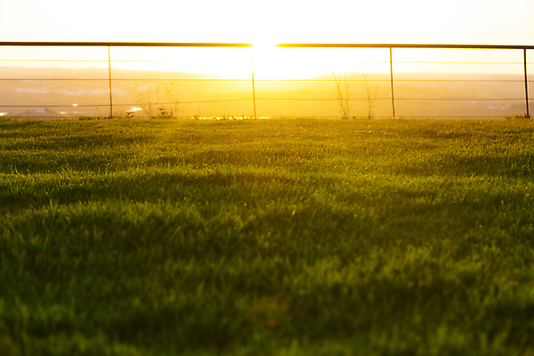 포토 JPG 해외이미지 식물 백그라운드 자연 추상 잔디 사람없음 야외 가로 빨간색 초록색 여름 빛 컬러풀 햇빛 뷰티 노란색 황혼 일몰 가을 농촌 마법 광 해외포토 계절 컬러 무늬 태양 노을 시골 생태계 파일형식 이미지허브