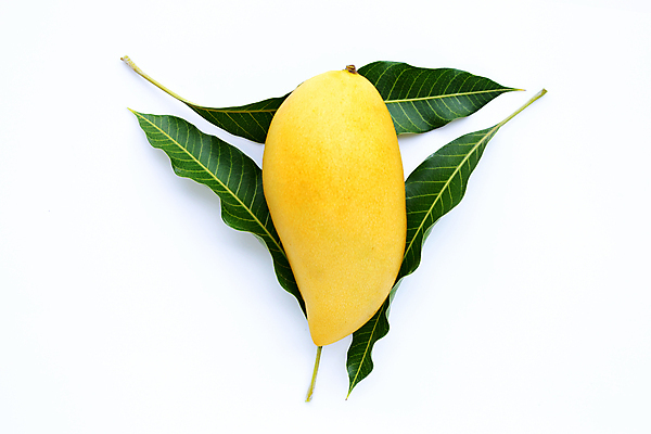 포토 JPG 해외이미지 잎 실내 사람없음 한개 열대과일 흰배경 망고 해외포토 식물 1 백그라운드 과일 내부 흰색 파일형식 이미지허브