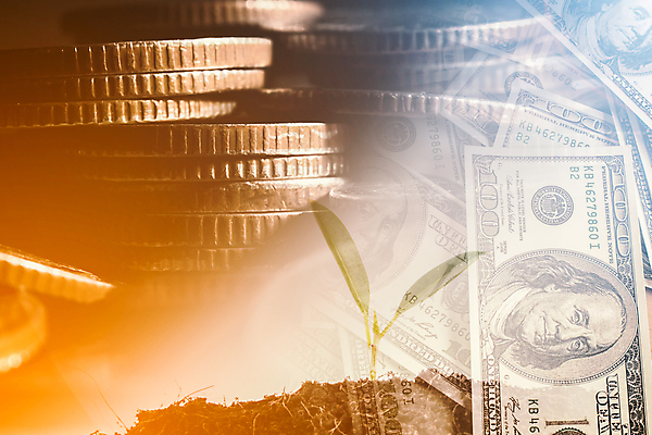 포토 JPG 해외이미지 식물 백그라운드 돈 비즈니스 통계 동양인 사람없음 금융 경제 글로벌 달러 동전 성장 도시 절약 구멍 시장 재산 주식 가격 투자 이익 가치 공유 회계 월급 경영 계좌 더블 수입 자금 해외포토 컨셉 인종 파일형식 이미지허브