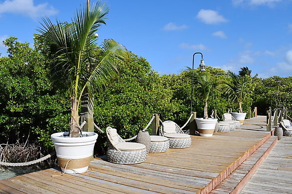 포토 JPG 해외이미지 나무 모래 바다 섬 여행 자연 하늘 휴가 손바닥 풍경 사람없음 야외 물 여름 파란색 야자수 맑음 흰색 휴양지 코코넛 카리브해 이국적 파라다이스 수평선 해외포토 자연요소 식물 손 계절 컬러 과일 날씨 장소 생태계 파일형식 이미지허브