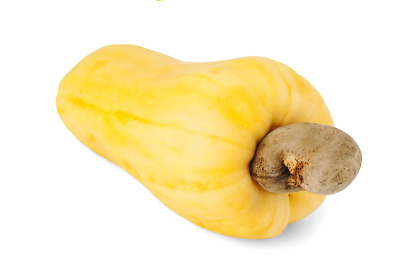 포토 JPG 해외이미지 음식 잎 농업 채소 과일 자연 건강 요리 씨앗 사람없음 야외 빨간색 세로 약 농장 노란색 쌓기 사진촬영 미국 견과류 수확 신선 그룹 시장 사과 농부 다발 브라질 남쪽 내추럴 밭일 숙성 캐슈넛 브라질사람 해외포토 식물 직업 산업 컬러 북아메리카 의학 모션 촬영 남아메리카 방향 생태계 파일형식 이미지허브