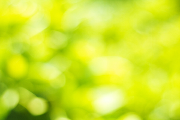 포토 JPG 해외이미지 디자인 계절 백그라운드 컨셉 패턴 자연 추상 사람없음 초록색 여름 빛 컬러풀 뷰티 맑음 봄 숲 질감 보케 부드러움 내추럴 블러 효과 해외포토 컬러 무늬 날씨 감각 생태계 파일형식 이미지허브