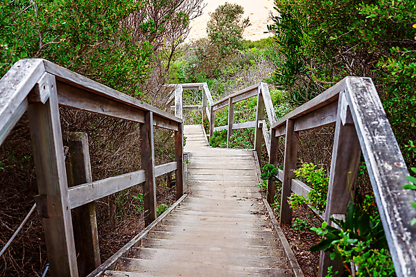 포토 JPG 해외이미지 나무 라이프스타일 모래 여행 잎 건축양식 자연 날씨 휴가 휴식 풍경 사람없음 야외 목재 초록색 여름 운동 태양 평화 계단 맑음 장면 단계 수목 해외포토 자연요소 식물 계절 건축 컬러 컨셉 재료 건강 생활 생태계 파일형식 이미지허브