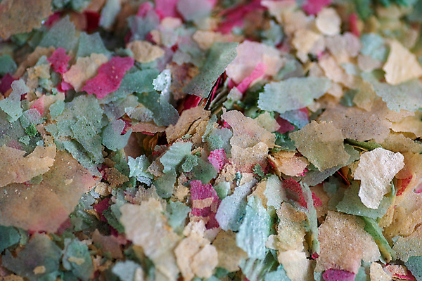포토 JPG 해외이미지 음식 조각 백그라운드 건조 어류 사람없음 반려동물 컬러풀 쌓기 닫기 먹이 묘사 질감 흙더미 내추럴 영양분 정물화 해외포토 동물 컬러 모션 수중동물 흙 그림 파일형식 더미 이미지허브