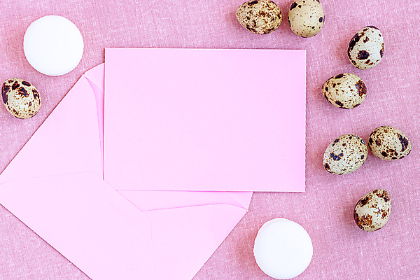 포토 JPG 해외이미지 전통 꽃 종이 부활절 프레임 선물 사람없음 하트 아기 메추리 스크랩북 파스텔톤 목업 해외포토 모양 식물 기념일 컬러 사람 파일형식 이미지허브