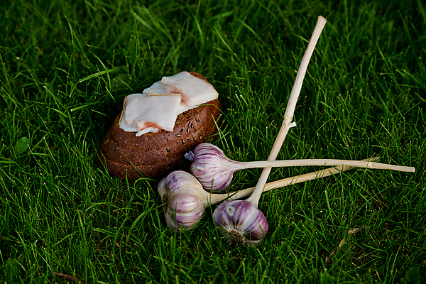 포토 JPG 해외이미지 전통 음식 빵 조각 백그라운드 다이어트 재료 자연 건강 마늘 요리 사람없음 목재 초록색 여름 검은색 흰색 신선 선택 맛 아침식사 상품 자르기 먹기 상쾌 날것 핸드메이드 해외포토 나무 계절 감정 컬러 컨셉 채소 모션 식사 생태계 파일형식 이미지허브