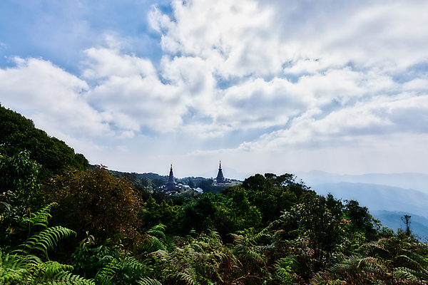 포토 JPG 해외이미지 공원 자국 태국 자연 사람없음 해외포토 공공시설 아시아 생태계 파일형식 이미지허브