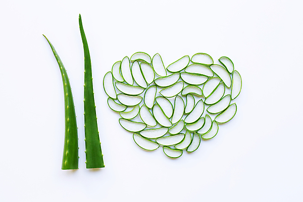 포토 JPG 해외이미지 스튜디오촬영 단면 실내 사람없음 하이앵글 뷰티 하트 흰배경 알로에 해외포토 모양 식물 뷰포인트 백그라운드 내부 흰색 파일형식 이미지허브