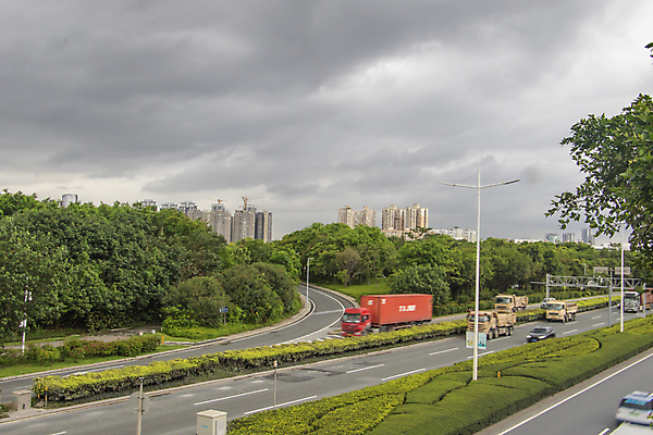 포토 JPG 해외이미지 나무 공원 도로 길 잎 자연 풍경 사람없음 야외 목재 초록색 여름 봄 가을 시골 숲 오솔길 방법 해외포토 식물 계절 공공시설 컬러 재료 교통시설 생태계 파일형식 이미지허브