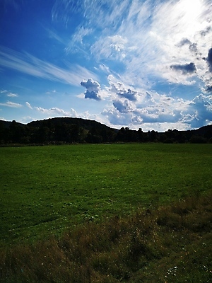 포토 JPG 해외이미지 나무 식물 구름 디자인 교육 얼굴 백그라운드 밭 인터넷 가족 자연 하늘 추상 산 거리 주택 사랑 서기 사람 풍경 사람없음 야외 초록색 물 파란색 친구 노트북 강 사무실 기차 도시 오픈 큼 책상 언덕 사인 질감 고립 돌봄 해외포토 자연요소 감정 육상교통 컬러 가구 무늬 농업 비즈니스 관계 모션 대중교통 건물 신체부위 전자제품 크기 생태계 파일형식 이미지허브