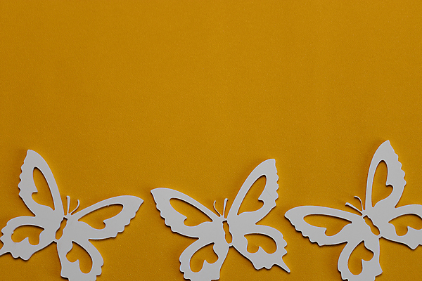 포토 JPG 해외이미지 모양 템플릿 디자인 배너 계절 실루엣 종이 나비 곤충 백그라운드 컨셉 패턴 자연 벽지 추상 휴가 아이디어 프레임 선물 사랑 미술 사람없음 장식 파란색 뷰티 유행 우주 희망 봄 수확 흰색 인사 신용카드 벌레 심볼 질감 복고 엘리먼트 스타일 카피스페이스 미니멀 해외포토 동물 감정 컬러 무늬 농업 문화예술 촬영기법 금융 공백 예절 생태계 파일형식 이미지허브