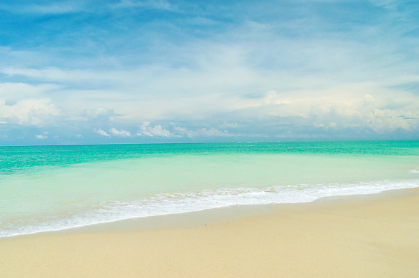 포토 JPG 해외이미지 나무 구름 모래 바다 여행 백그라운드 태국 자연 하늘 휴가 조개 휴식 풍경 사람없음 야외 초록색 물 여름 파란색 흰색 서핑 상쾌 해외포토 자연요소 식물 계절 감정 아시아 컬러 컨셉 어패류 수상스포츠 생태계 파일형식 이미지허브