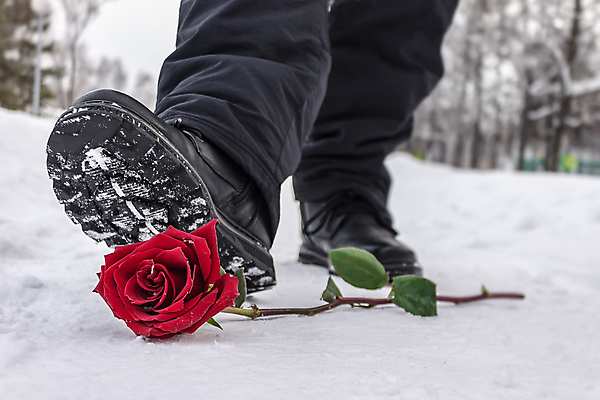 포토 JPG 해외이미지 식물 전통 라이프스타일 공원 꽃잎 꽃 도로 줄기 꽃다발 신발 잎 겨울 자연 거리 부츠 발렌타인데이 사람없음 야외 빨간색 장미 냉동 얼음 손상 추위 분노 보행자 던지기 쓰레기 버리기 심볼 사인 기회 서리 밟기 거짓말 항의 눈내림 해외포토 자연요소 계절 공공시설 감정 길 컬러 컨셉 교통시설 모션 데이이벤트 눈_날씨 생활 생태계 파일형식 이미지허브
